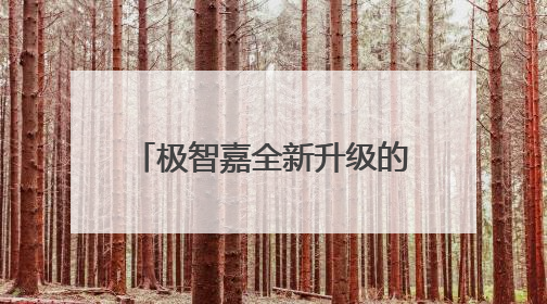 极智嘉全新升级的大小车RoboShuttle V4.0货箱到人方案