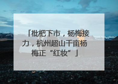 枇杷下市，杨梅接力，杭州超山千亩杨梅正“红妆”
