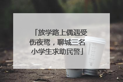 放学路上偶遇受伤夜鹭，聊城三名小学生求助民警