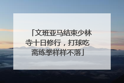 文班亚马结束少林寺十日修行，打球吃斋练拳样样不落
