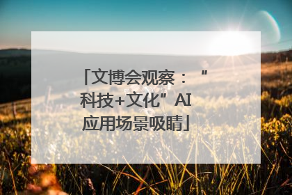 文博会观察：“科技+文化”AI应用场景吸睛
