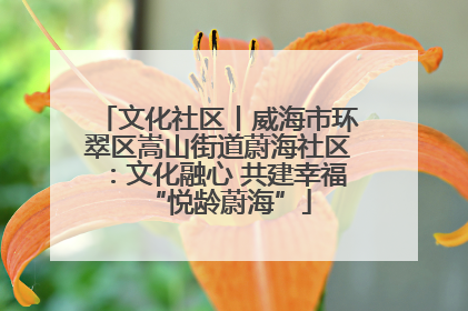 文化社区丨威海市环翠区嵩山街道蔚海社区：文化融心 共建幸福“悦龄蔚海”