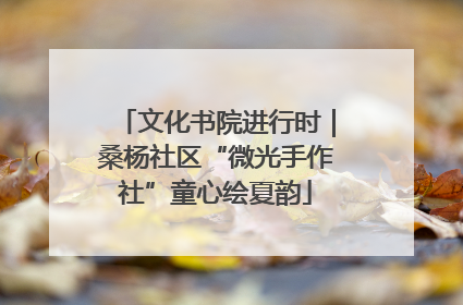 文化书院进行时｜桑杨社区“微光手作社”童心绘夏韵