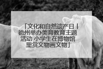文化和自然遗产日丨德州举办美育教育主题活动 小学生在博物馆里赏文物画文物