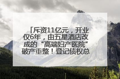 斥资11亿元，开业仅6年，由五星酒店改成的“高端妇产医院”破产重整！登记债权总额已超17亿元