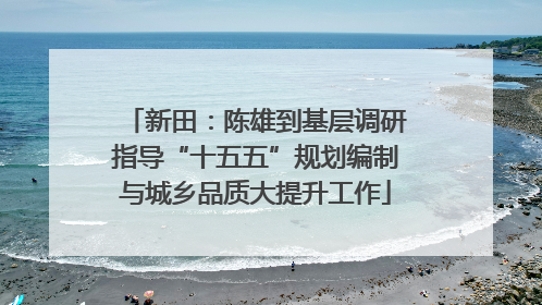 新田：陈雄到基层调研指导“十五五”规划编制与城乡品质大提升工作