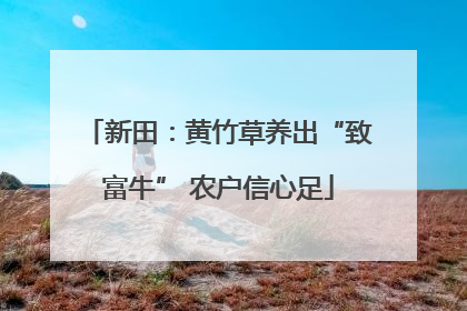 新田：黄竹草养出“致富牛” 农户信心足