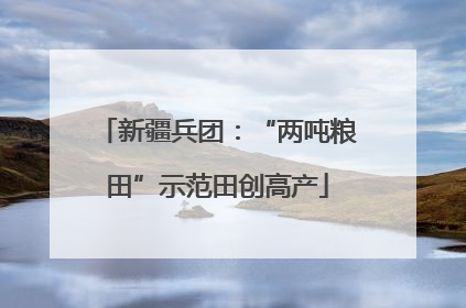 新疆兵团：“两吨粮田”示范田创高产