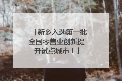 新乡入选第一批全国零售业创新提升试点城市！