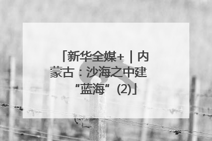 新华全媒+｜内蒙古：沙海之中建“蓝海”(2)