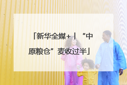 新华全媒+丨“中原粮仓”麦收过半
