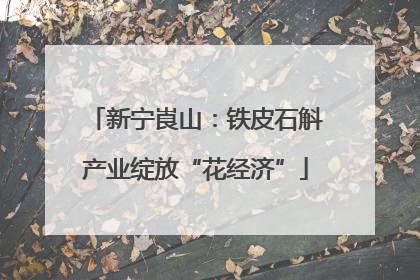 新宁崀山：铁皮石斛产业绽放“花经济”