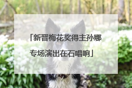 新晋梅花奖得主孙娜专场演出在石唱响