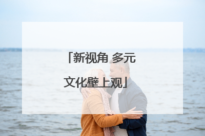 新视角 多元文化壁上观