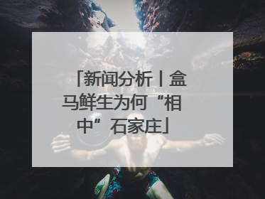 新闻分析丨盒马鲜生为何“相中”石家庄