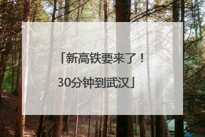 新高铁要来了！30分钟到武汉