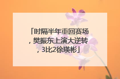 时隔半年重回赛场，樊振东上演大逆转，3比2徐瑛彬
