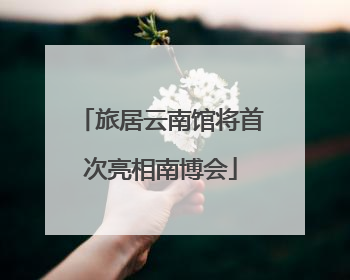 旅居云南馆将首次亮相南博会