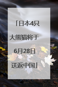 日本4只大熊猫将于6月28日送返中国