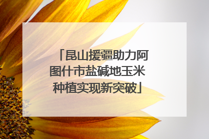 昆山援疆助力阿图什市盐碱地玉米种植实现新突破