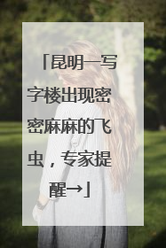昆明一写字楼出现密密麻麻的飞虫，专家提醒→