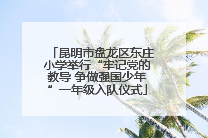 昆明市盘龙区东庄小学举行“牢记党的教导 争做强国少年”一年级入队仪式