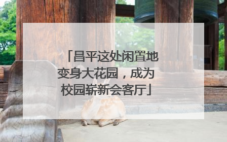 昌平这处闲置地变身大花园，成为校园崭新会客厅