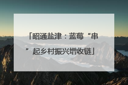 昭通盐津：蓝莓“串”起乡村振兴增收链