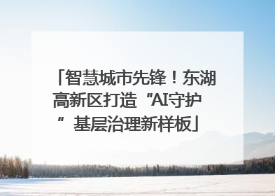 智慧城市先锋！东湖高新区打造“AI守护”基层治理新样板