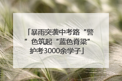 暴雨突袭中考路“警”色筑起“蓝色脊梁”护考3000余学子