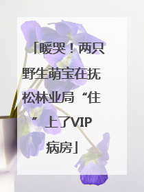 暖哭！两只野生萌宝在抚松林业局“住”上了VIP病房