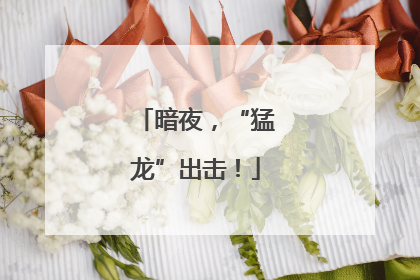 暗夜，“猛龙”出击！