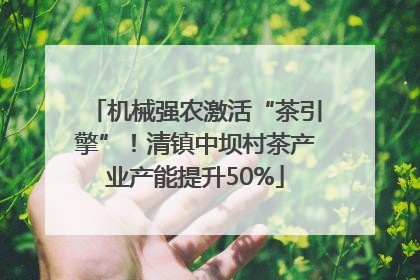 机械强农激活“茶引擎”！清镇中坝村茶产业产能提升50%