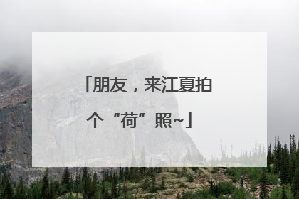朋友，来江夏拍个“荷”照~