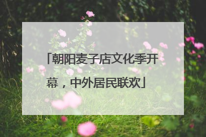 朝阳麦子店文化季开幕，中外居民联欢
