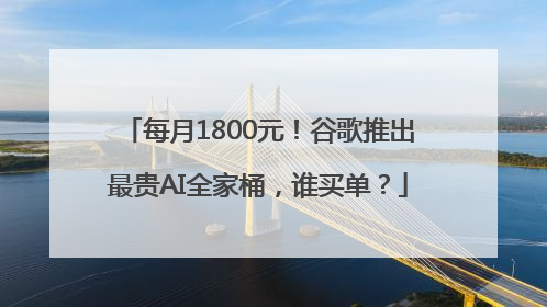 每月1800元！谷歌推出最贵AI全家桶，谁买单？