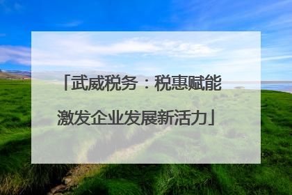 武威税务：税惠赋能 激发企业发展新活力