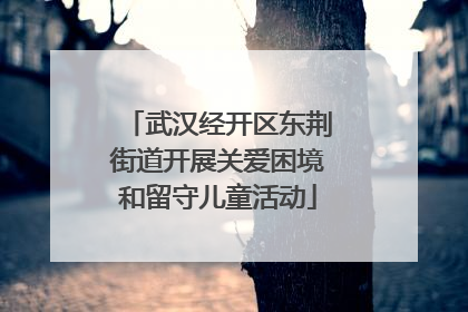 武汉经开区东荆街道开展关爱困境和留守儿童活动