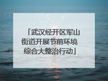 武汉经开区军山街道开展节前环境综合大整治行动