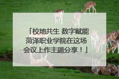 校地共生 数字赋能 菏泽职业学院在这场会议上作主题分享！