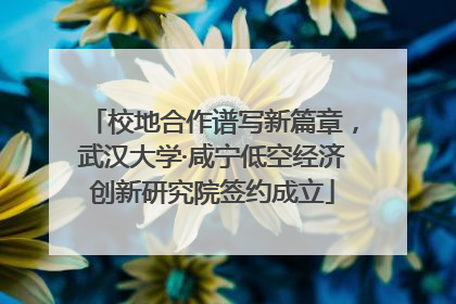 校地合作谱写新篇章，武汉大学·咸宁低空经济创新研究院签约成立