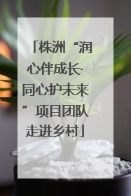株洲“润心伴成长·同心护未来”项目团队走进乡村