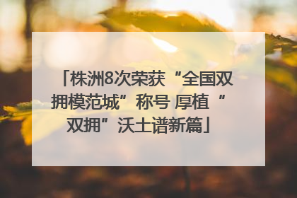 株洲8次荣获“全国双拥模范城”称号 厚植“双拥”沃土谱新篇