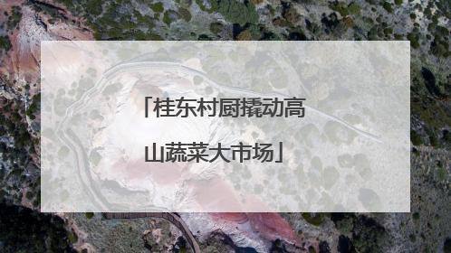 桂东村厨撬动高山蔬菜大市场