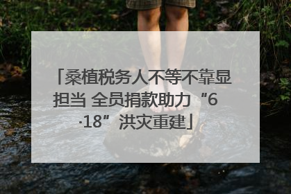 桑植税务人不等不靠显担当 全员捐款助力“6·18”洪灾重建