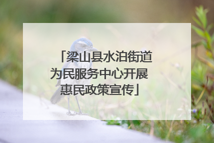 梁山县水泊街道为民服务中心开展惠民政策宣传
