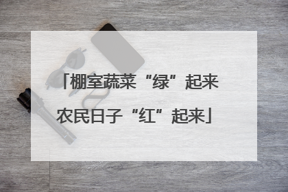 棚室蔬菜“绿”起来 农民日子“红”起来
