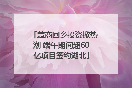 楚商回乡投资掀热潮 端午期间超60亿项目签约湖北