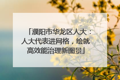 濮阳市华龙区人大：人大代表进网格，绘就高效能治理新图景