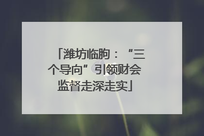 潍坊临朐：“三个导向”引领财会监督走深走实
